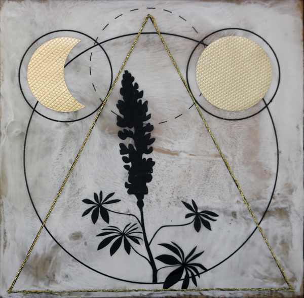 Carolus Linnaeus by Shannon Amidon, Image 1.