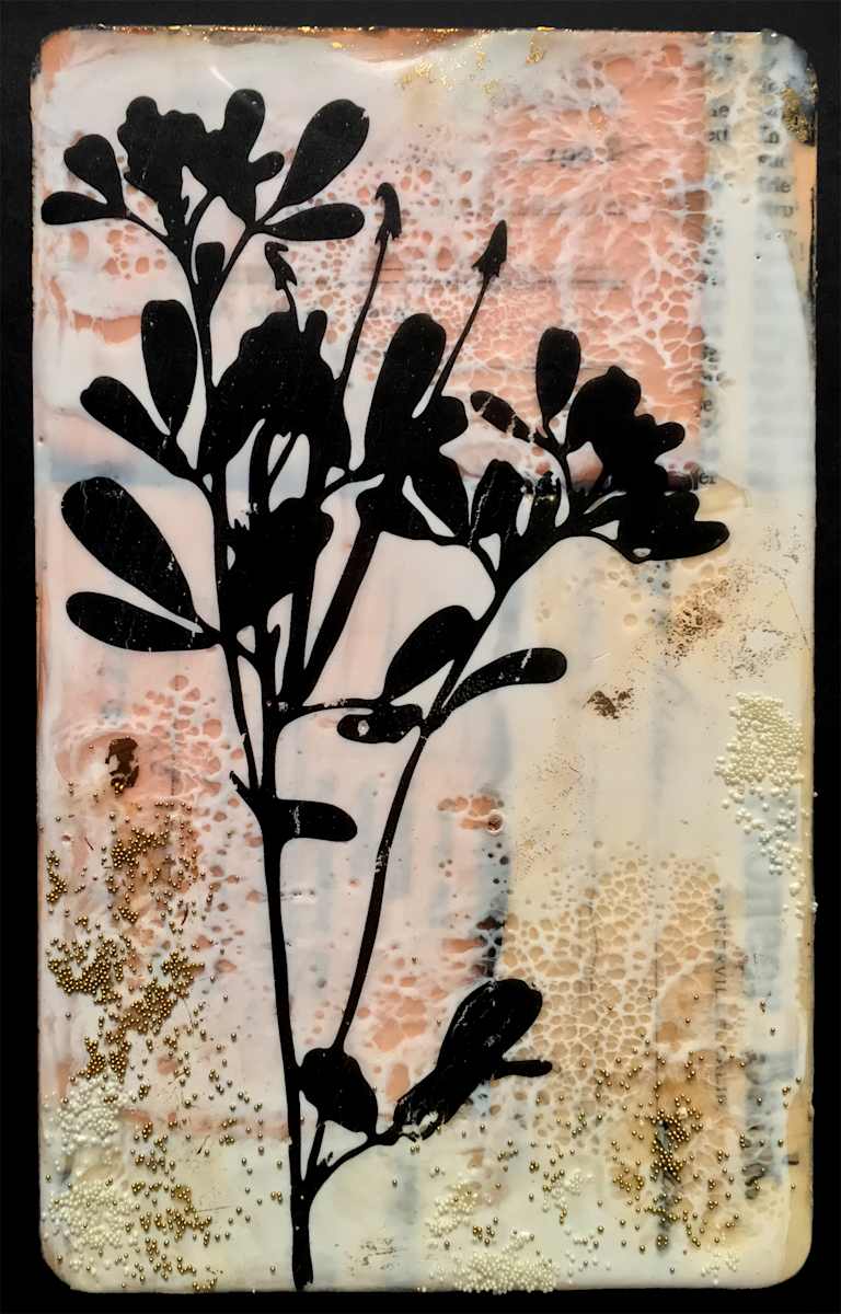 Delight by Shannon Amidon, Image 1.