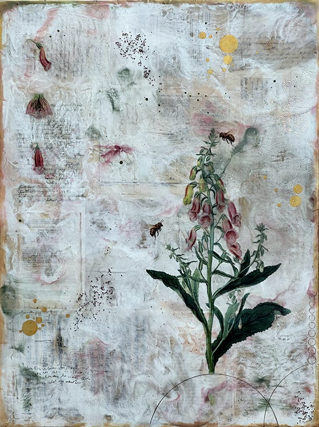 Foxglove by Shannon Amidon 