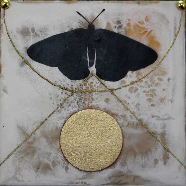 H.W. Bates by Shannon Amidon, Image 1.