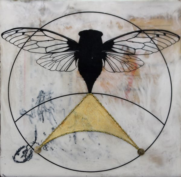 Jan Swammerdam by Shannon Amidon, Image 1.