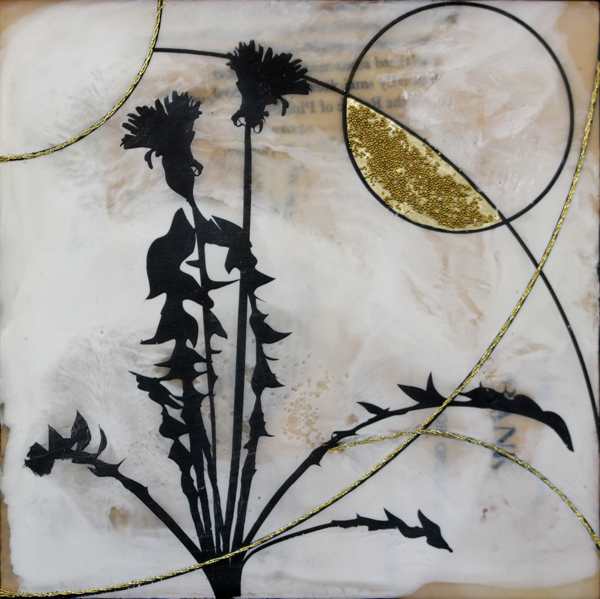 John Ray by Shannon Amidon, Image 1.