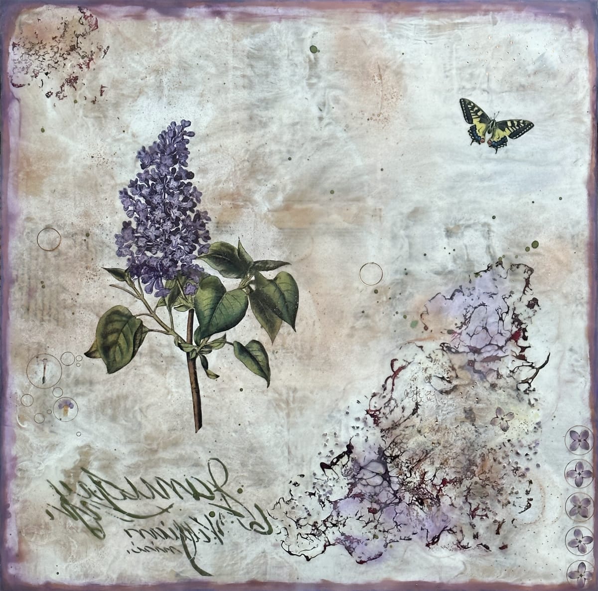 Lilac by Shannon Amidon 