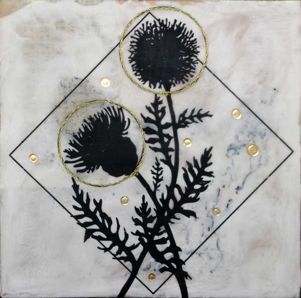 Paracelsus by Shannon Amidon, Image 1.