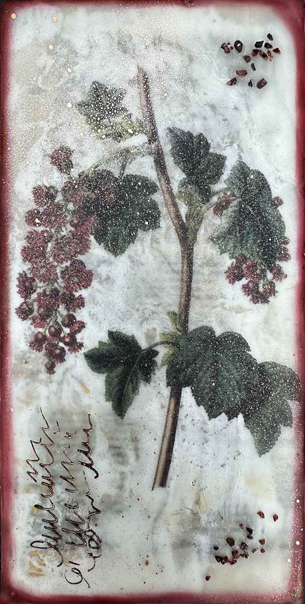 Red Flowering Currant by Shannon Amidon, Image 2.