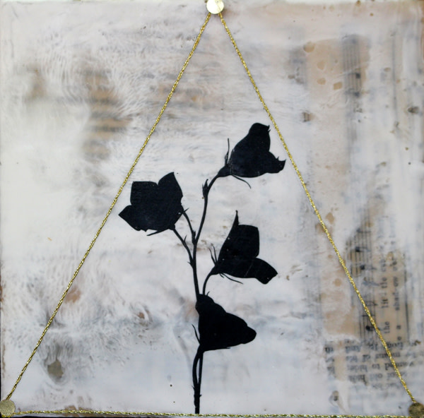 Robert Brown by Shannon Amidon 