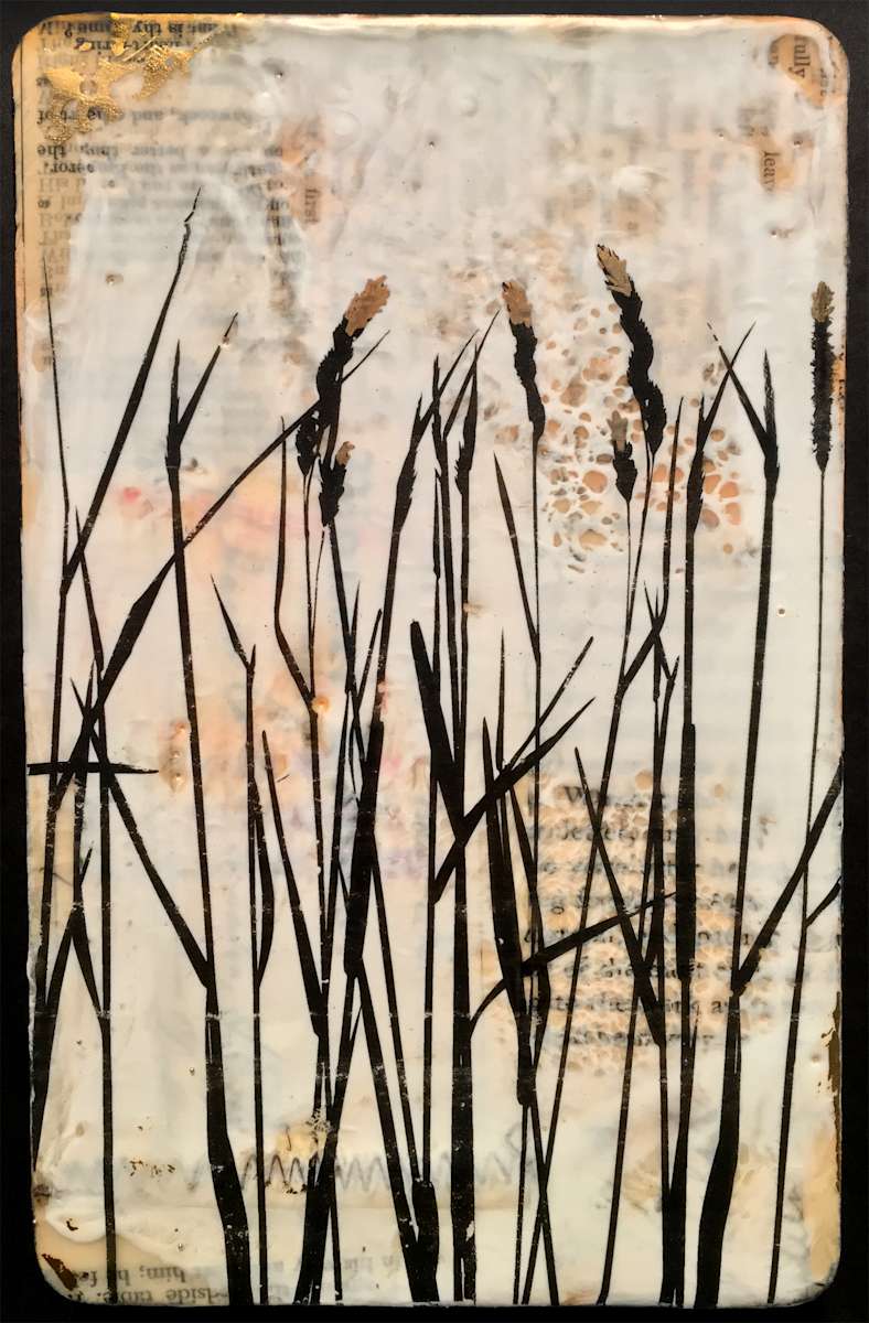 Serene by Shannon Amidon, Image 1.
