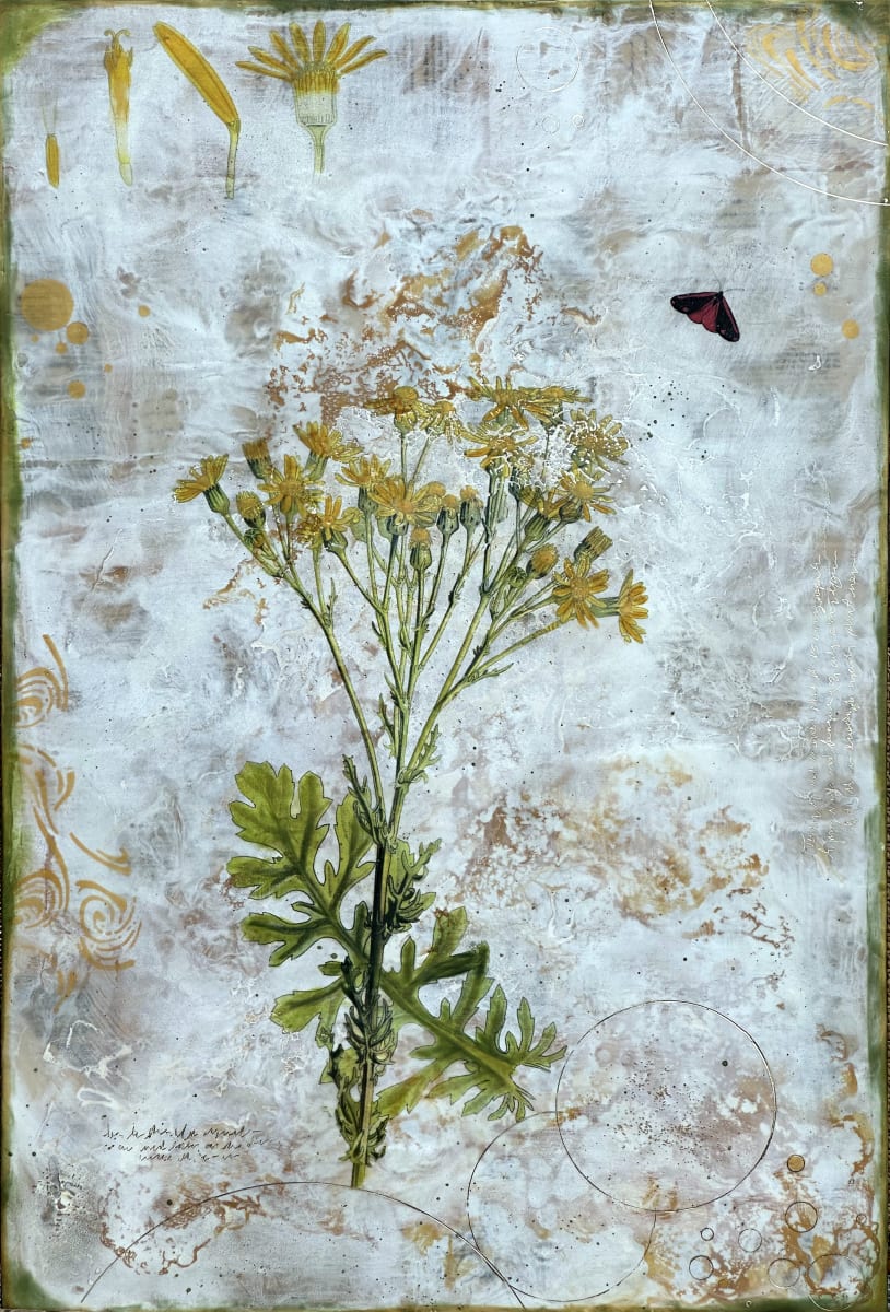 Tansy by Shannon Amidon 