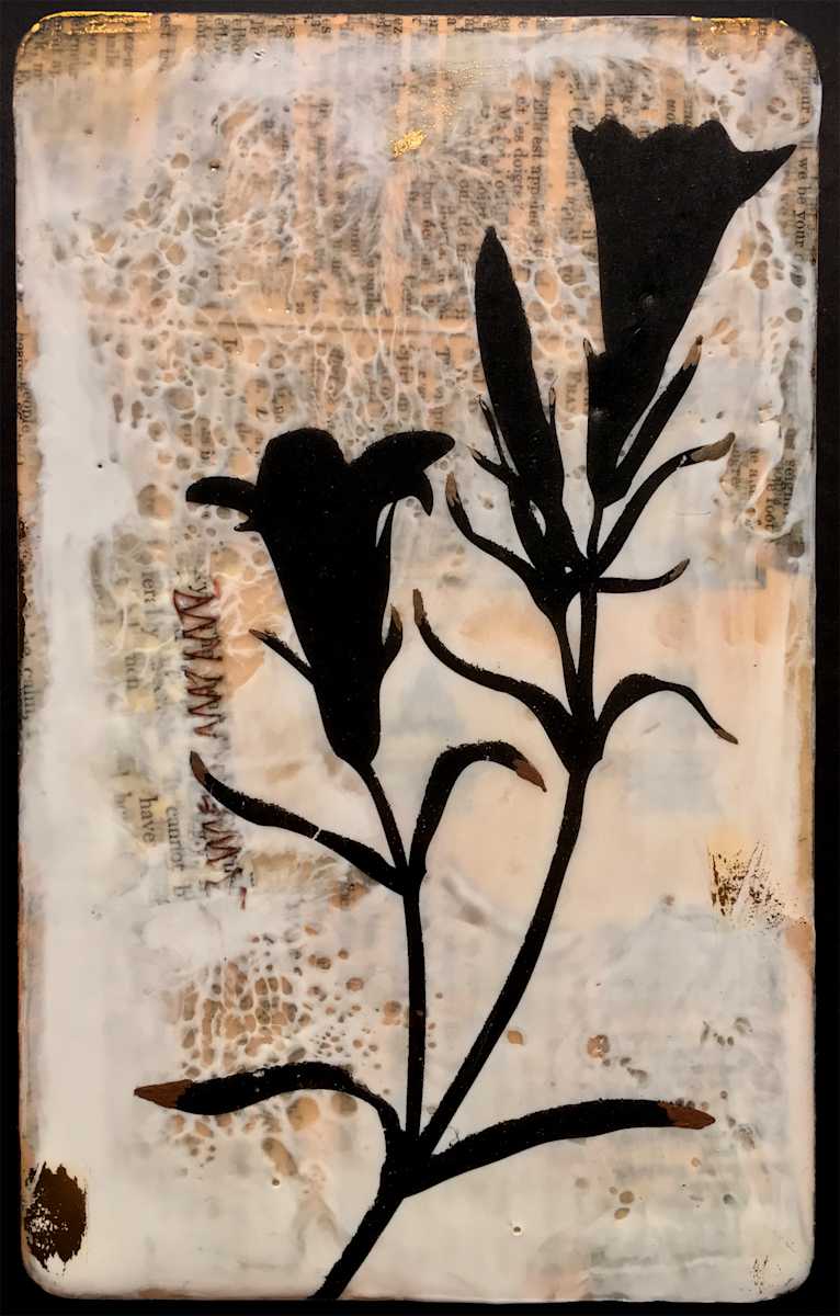 Tenderly  by Shannon Amidon, Image 1.
