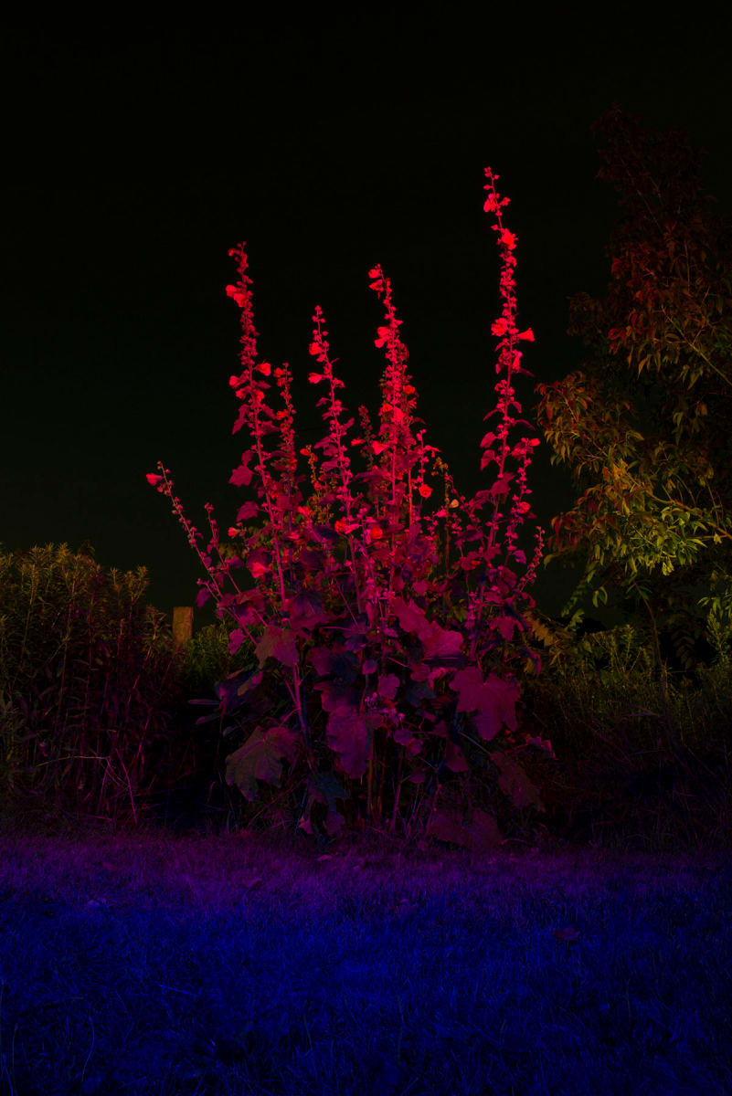 Untitled 4 