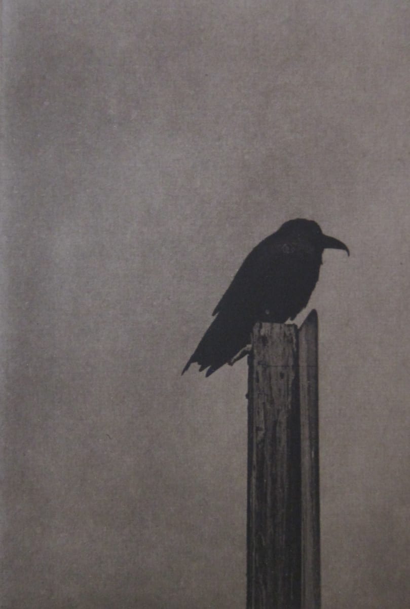 Still life with Raven by Unai San Martin, Image 16.