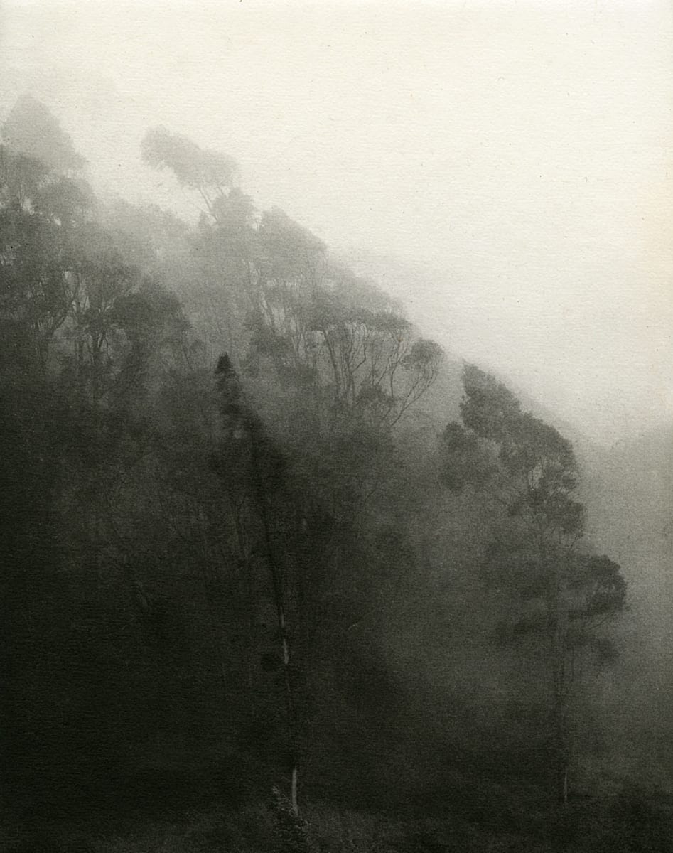 Fog, Diagonal by Unai San Martin 