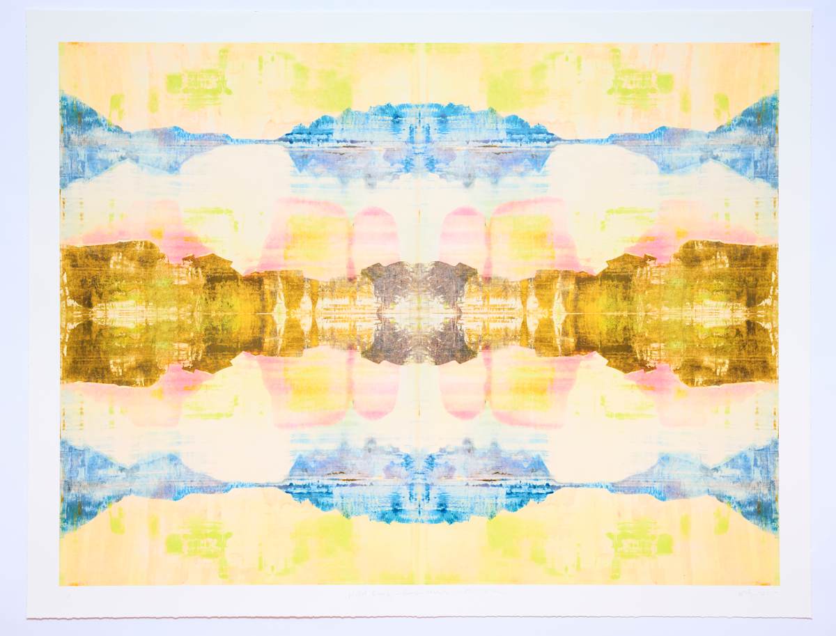 Wild Beauty - Remembered - Mirror by Stephen Hayes 