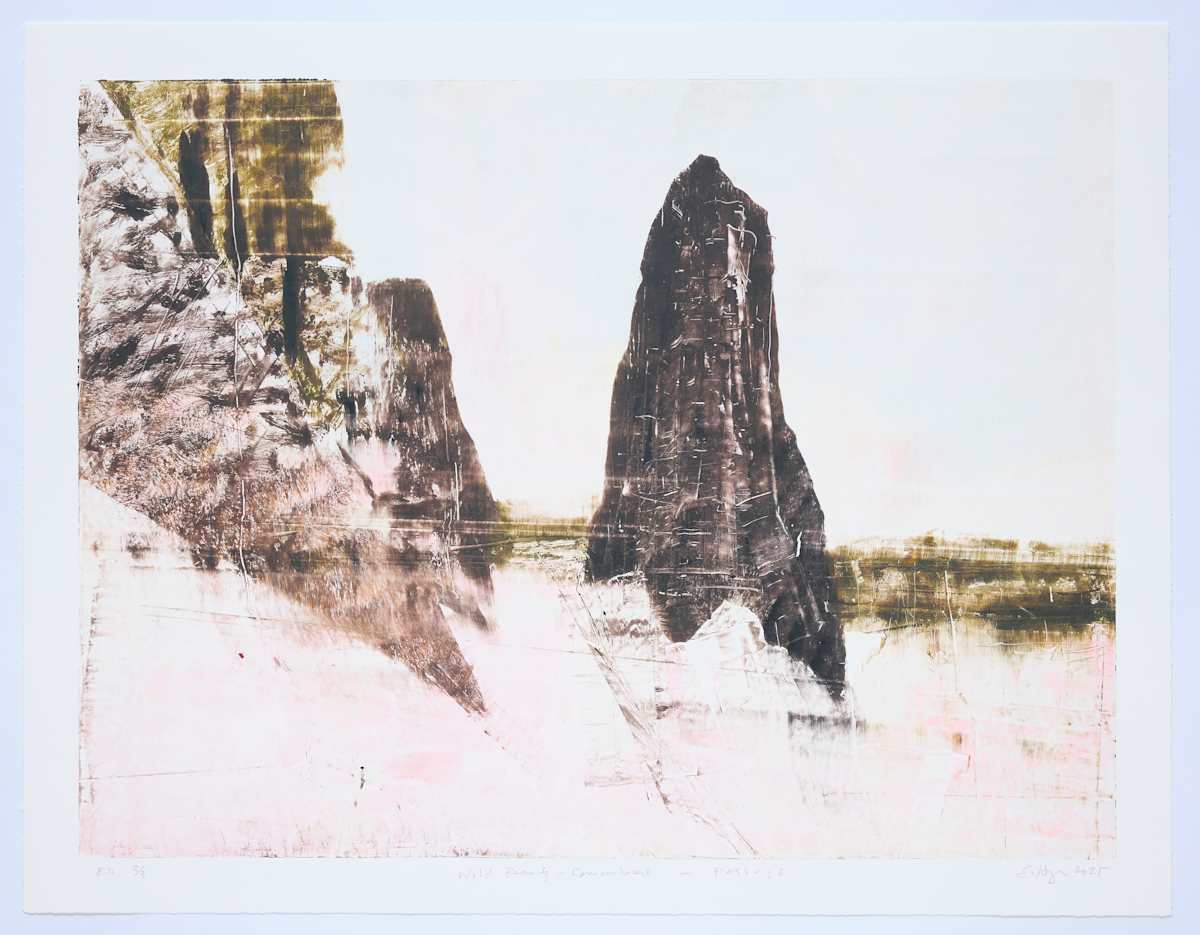 Wild Beauty - Remembered - Passage by Stephen Hayes 