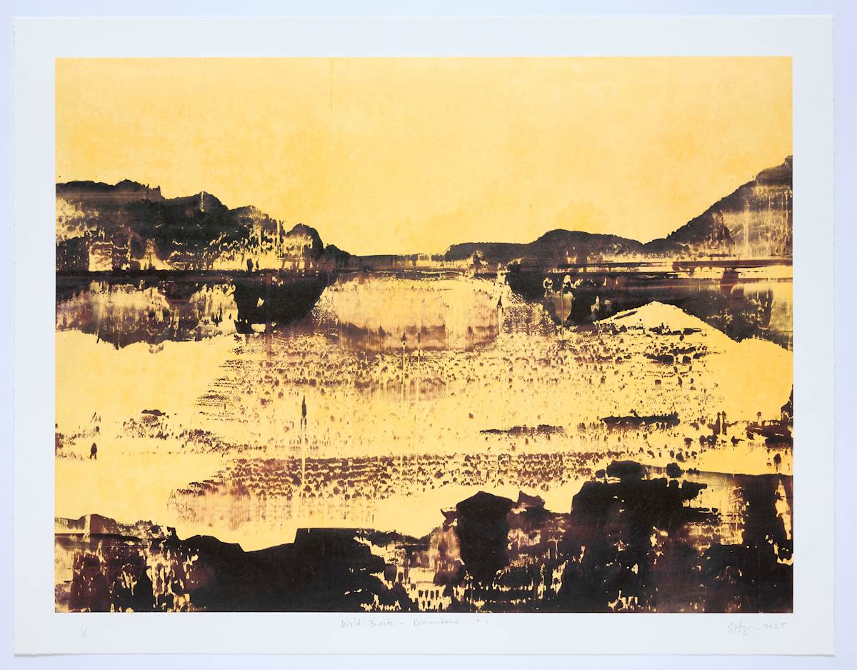 Wild Beauty - Remembered - #1 by Stephen Hayes, Image 1.