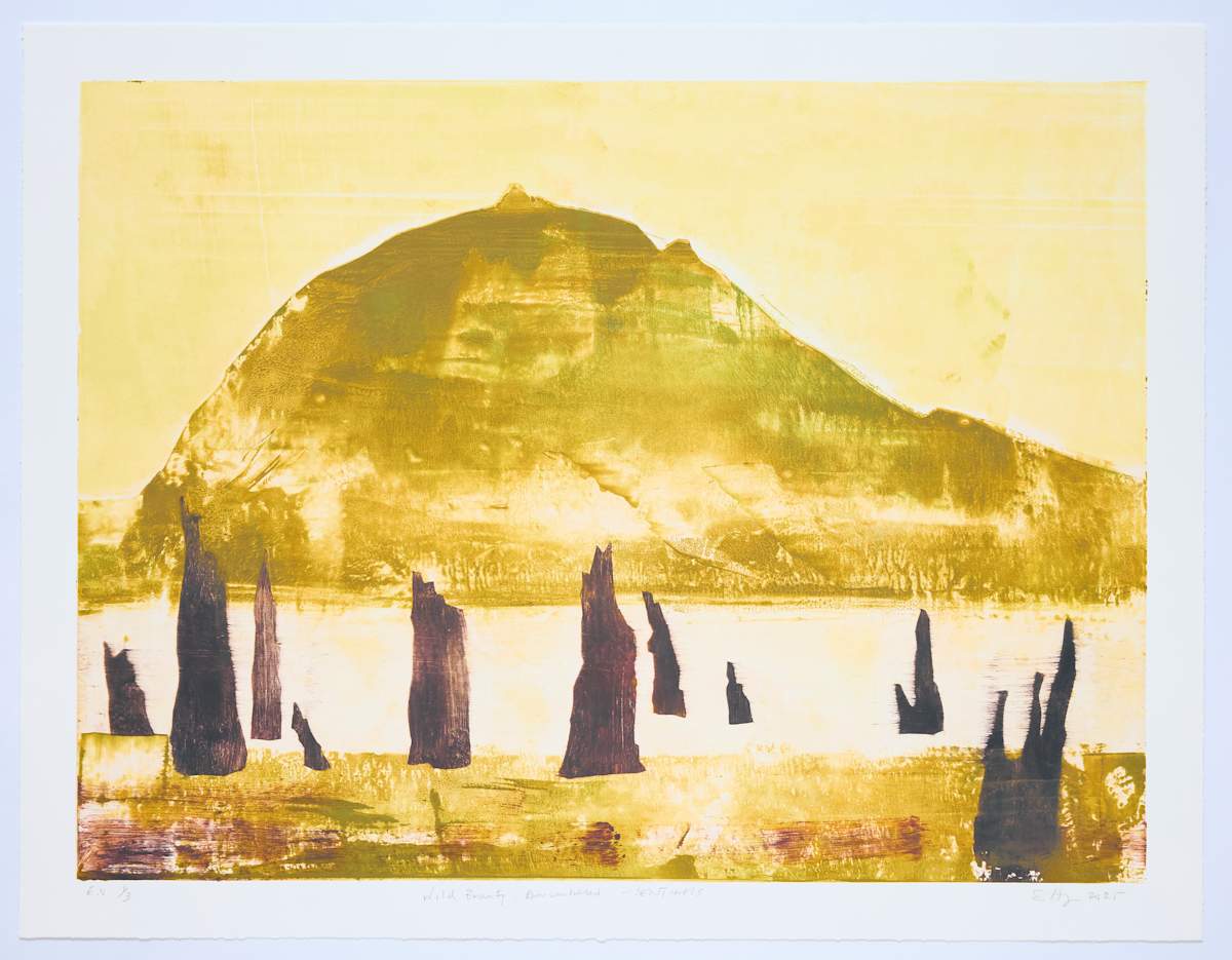 Wild Beauty - Remembered - Sentinels by Stephen Hayes 