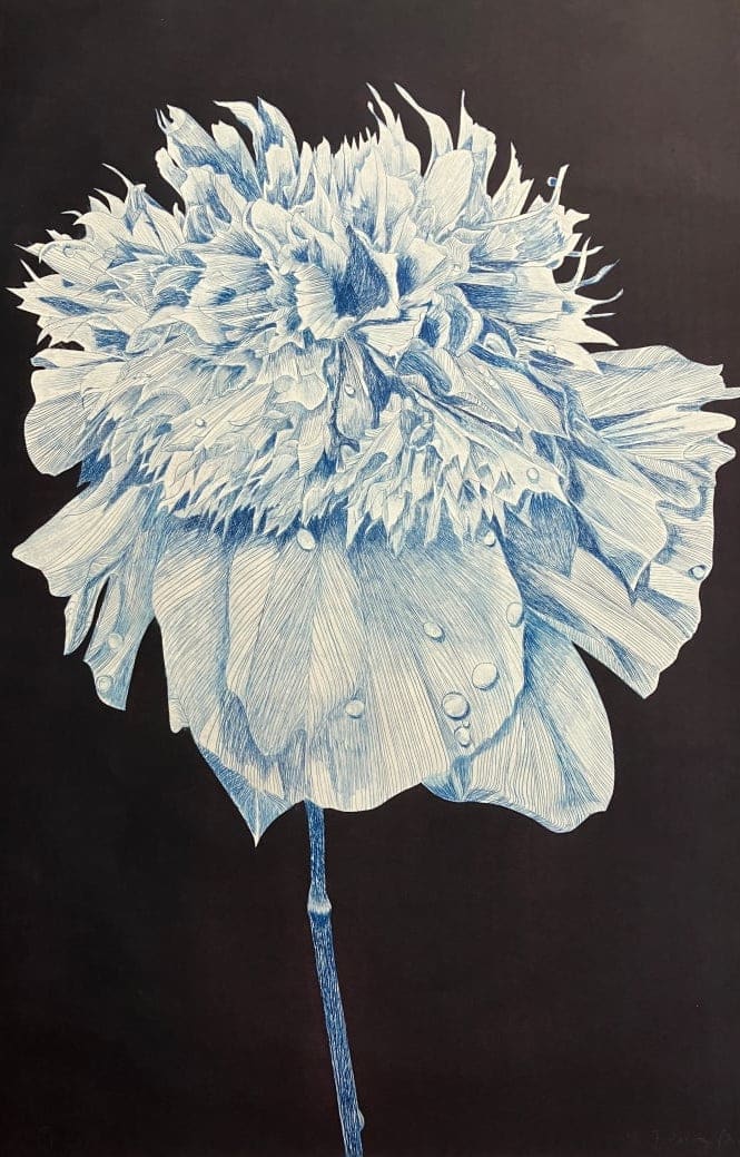 Fidelity (Prussian) by Storm Tharp 