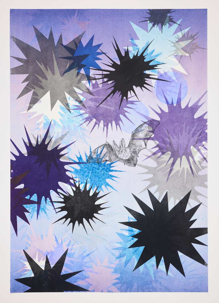 Nocturne #3 (Townsend's big-eared bat) by Kara Maria 