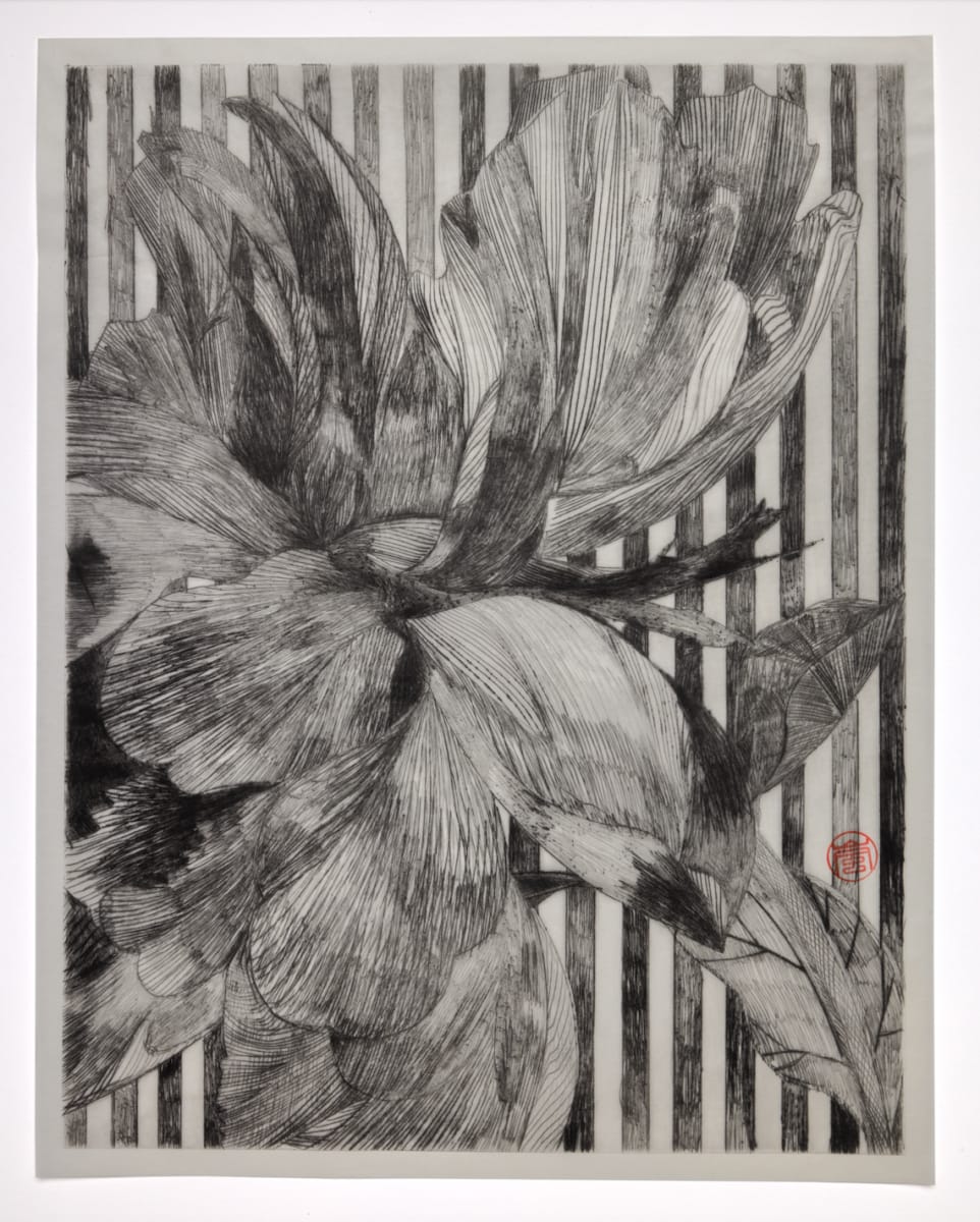 Peony with Stripe by Storm Tharp, Image 5.
