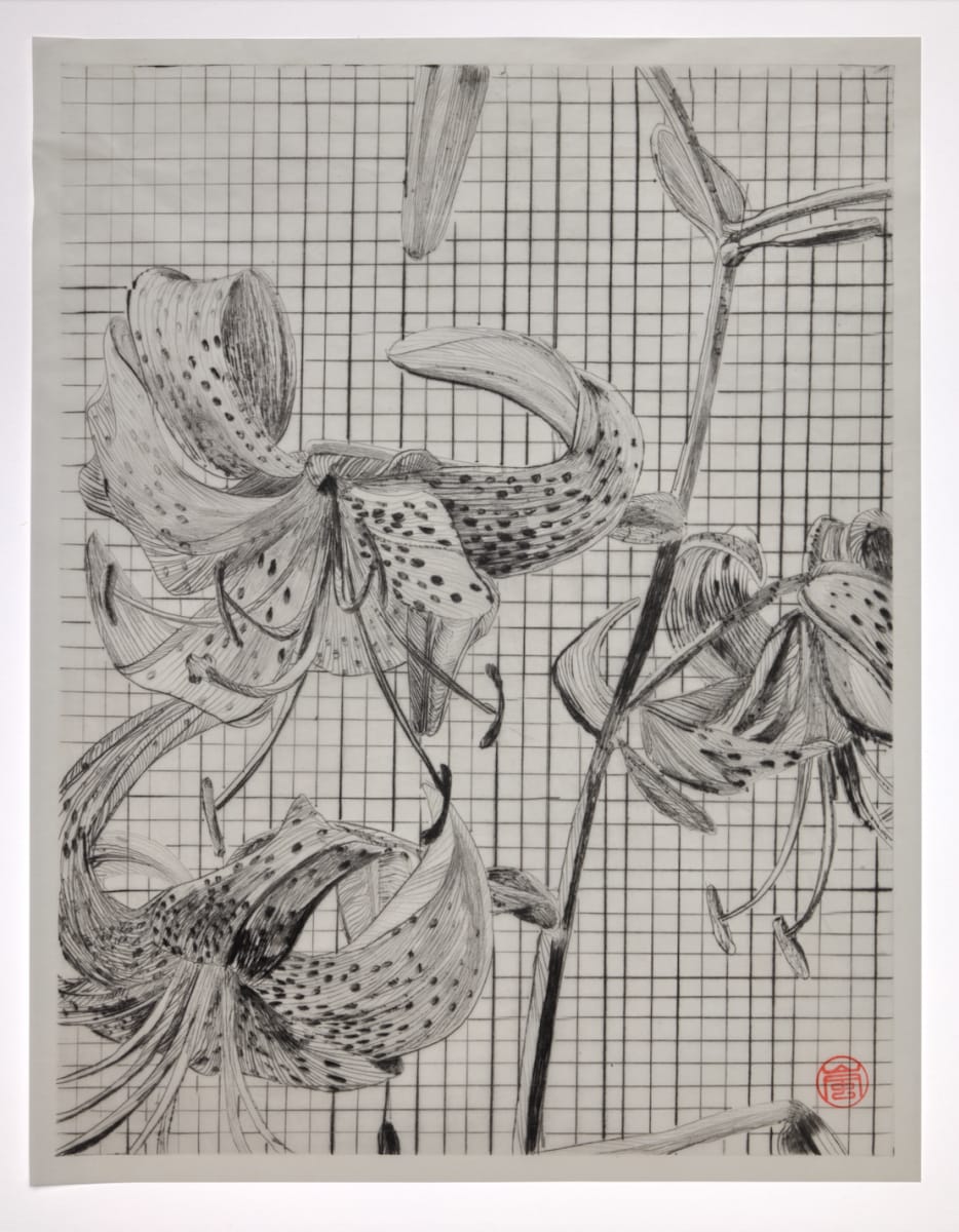 Tiger Lily by Storm Tharp 