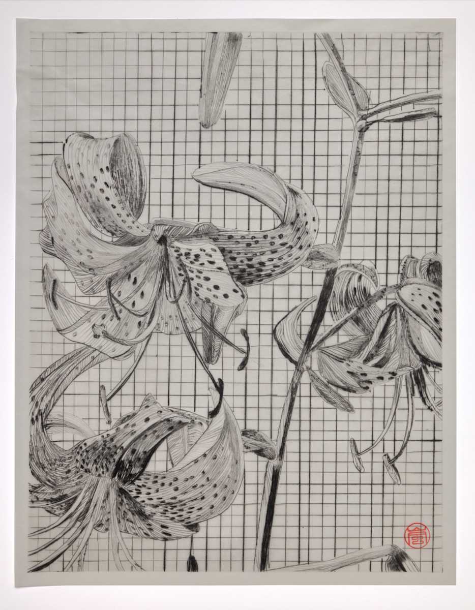 Tiger Lily by Storm Tharp, Image 3.