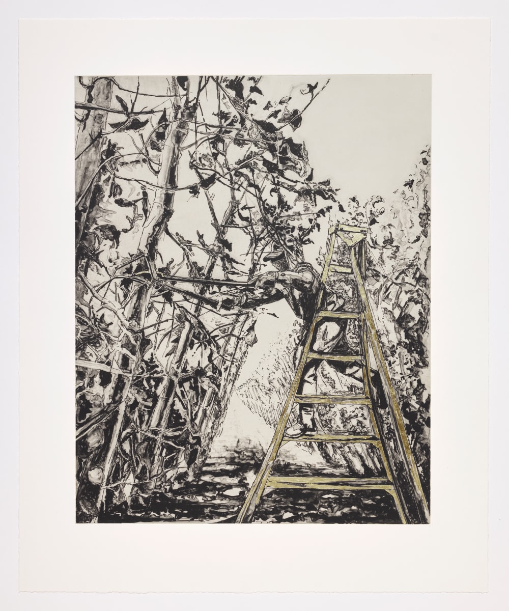 Fearless Mode by Narsiso Martinez 