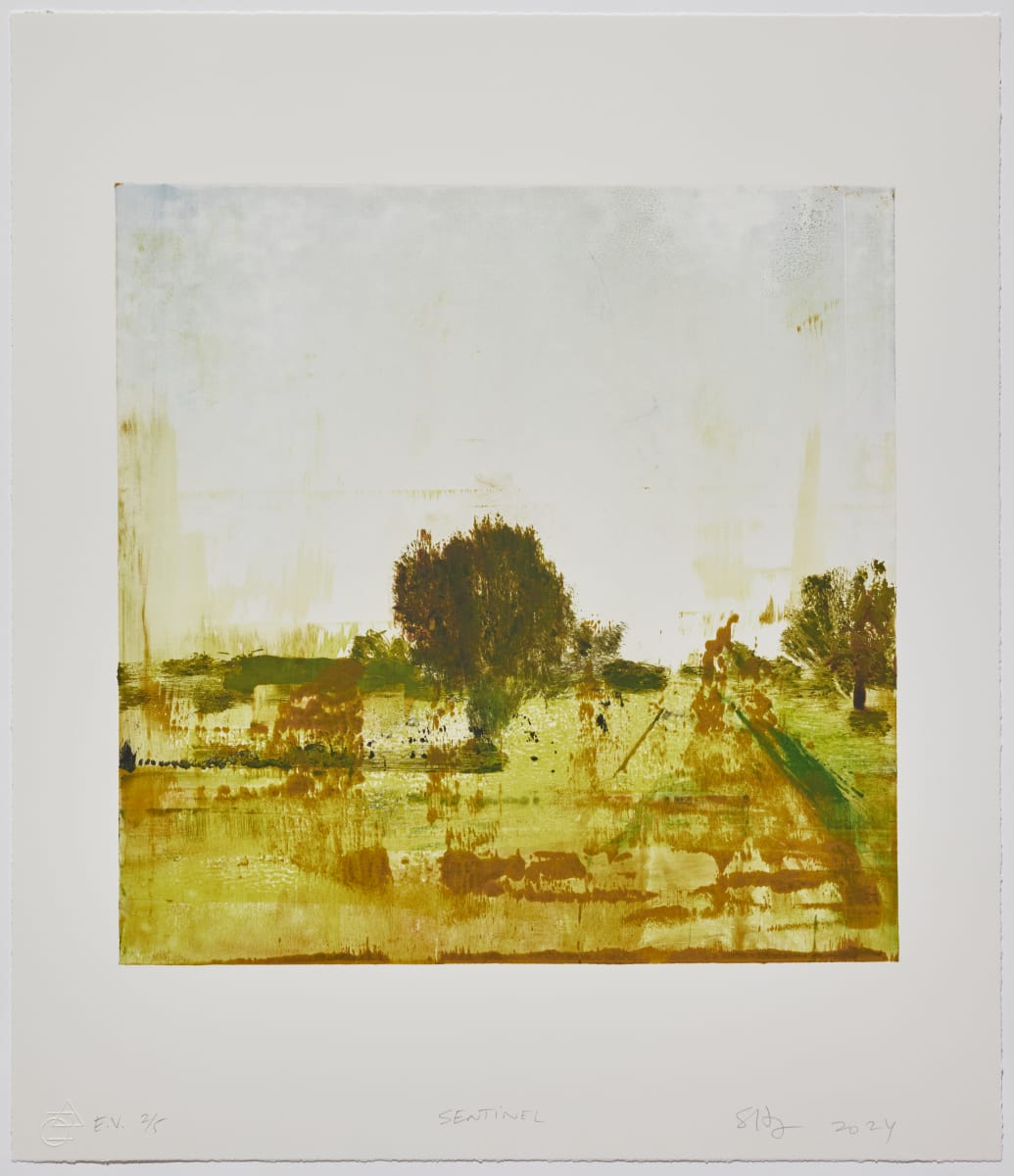 Sentinel 2/5 by Stephen Hayes