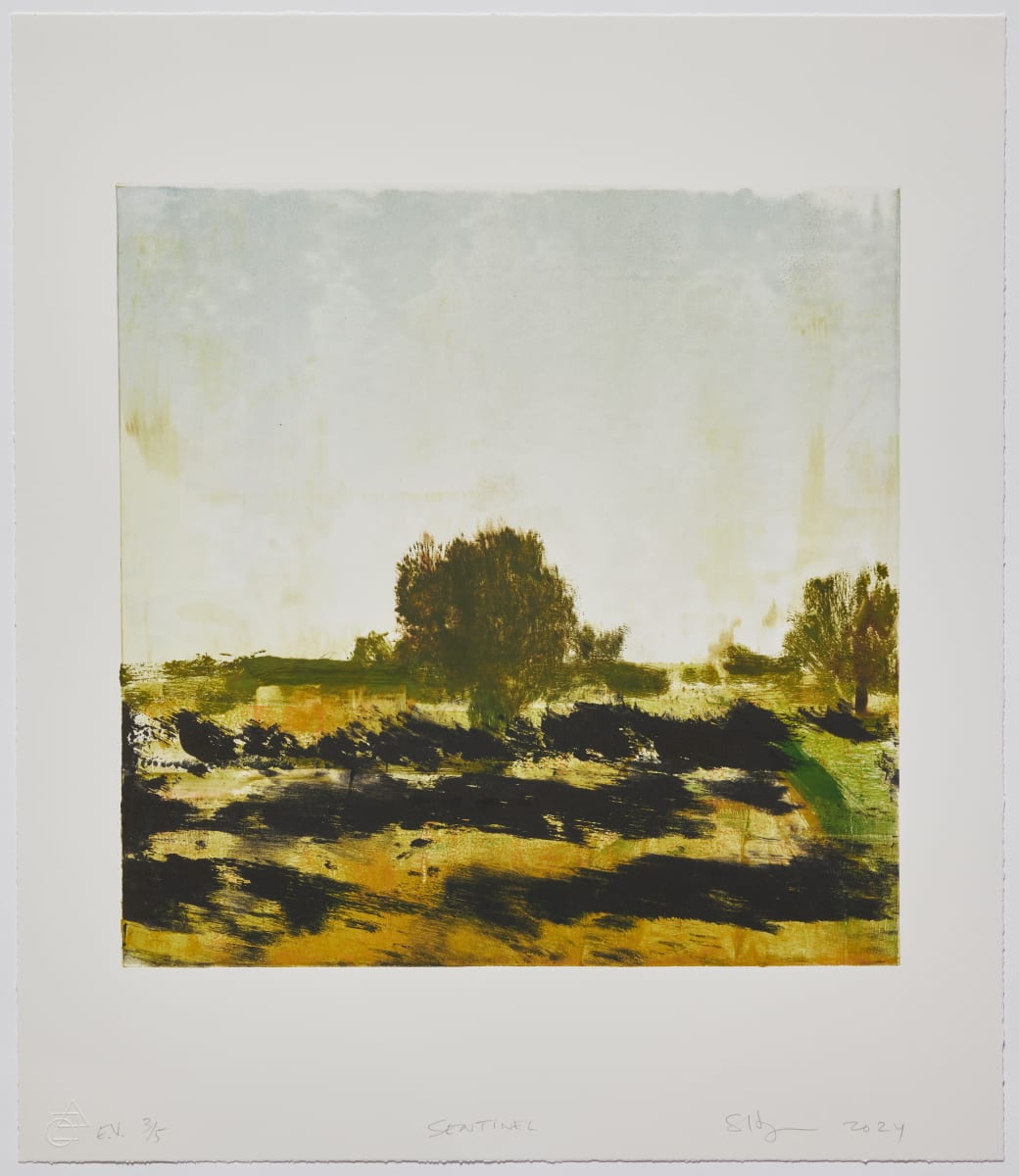 Sentinel 3/5 by Stephen Hayes