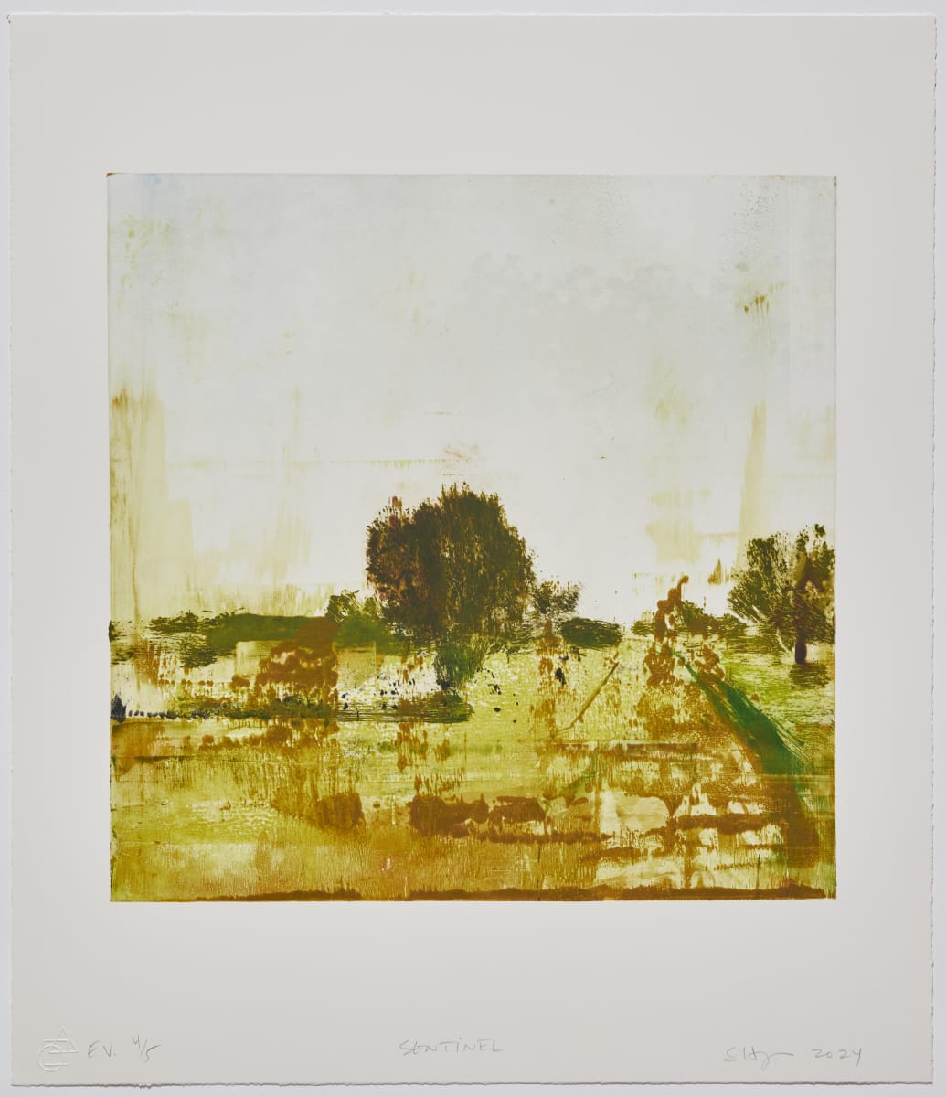 Sentinel 4/5 by Stephen Hayes