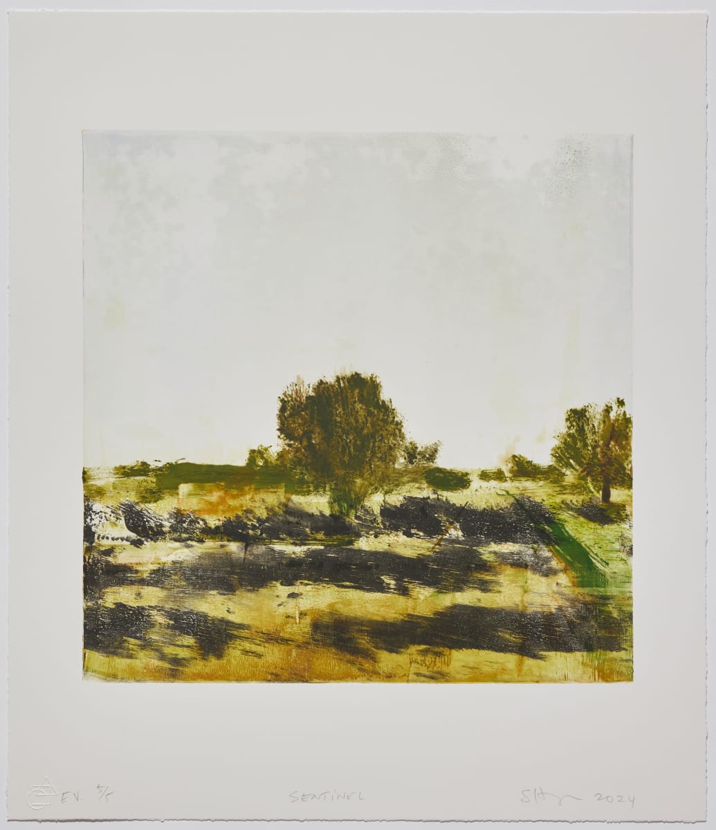 Sentinel 5/5 by Stephen Hayes