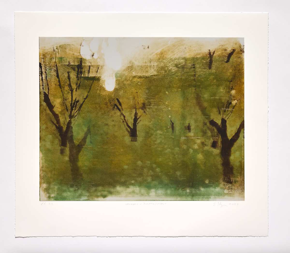 Orchard-Donesk/Oblast 2/3 by Stephen Hayes