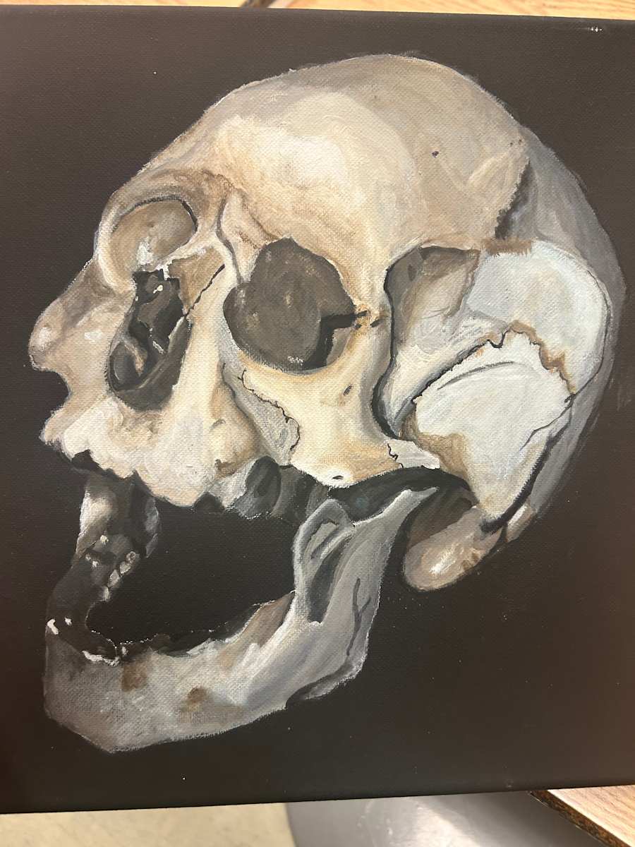 Skull by Zella Niupalau 