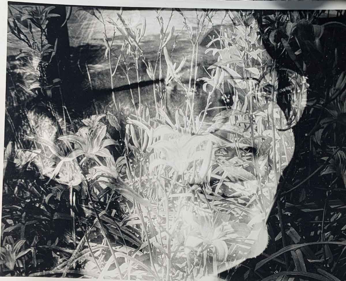 Nanny by Jude Morton 