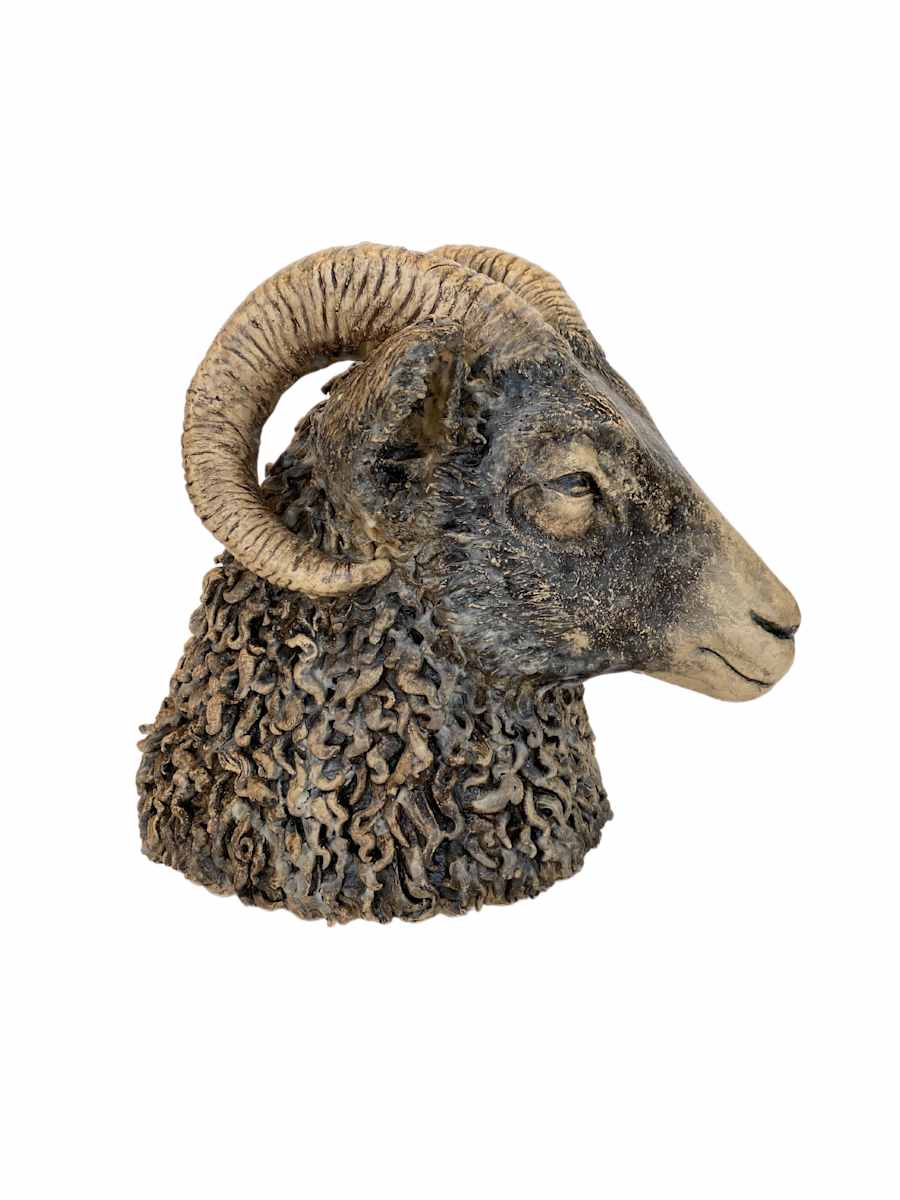 Ram by Ludovica Briscoe  Image: right side view
