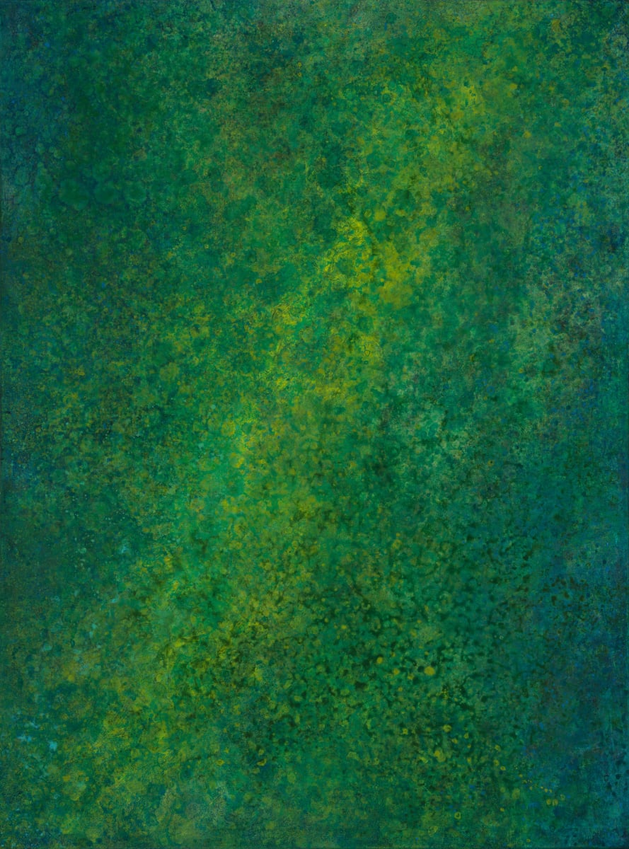 Forest Light by Lori Latham 