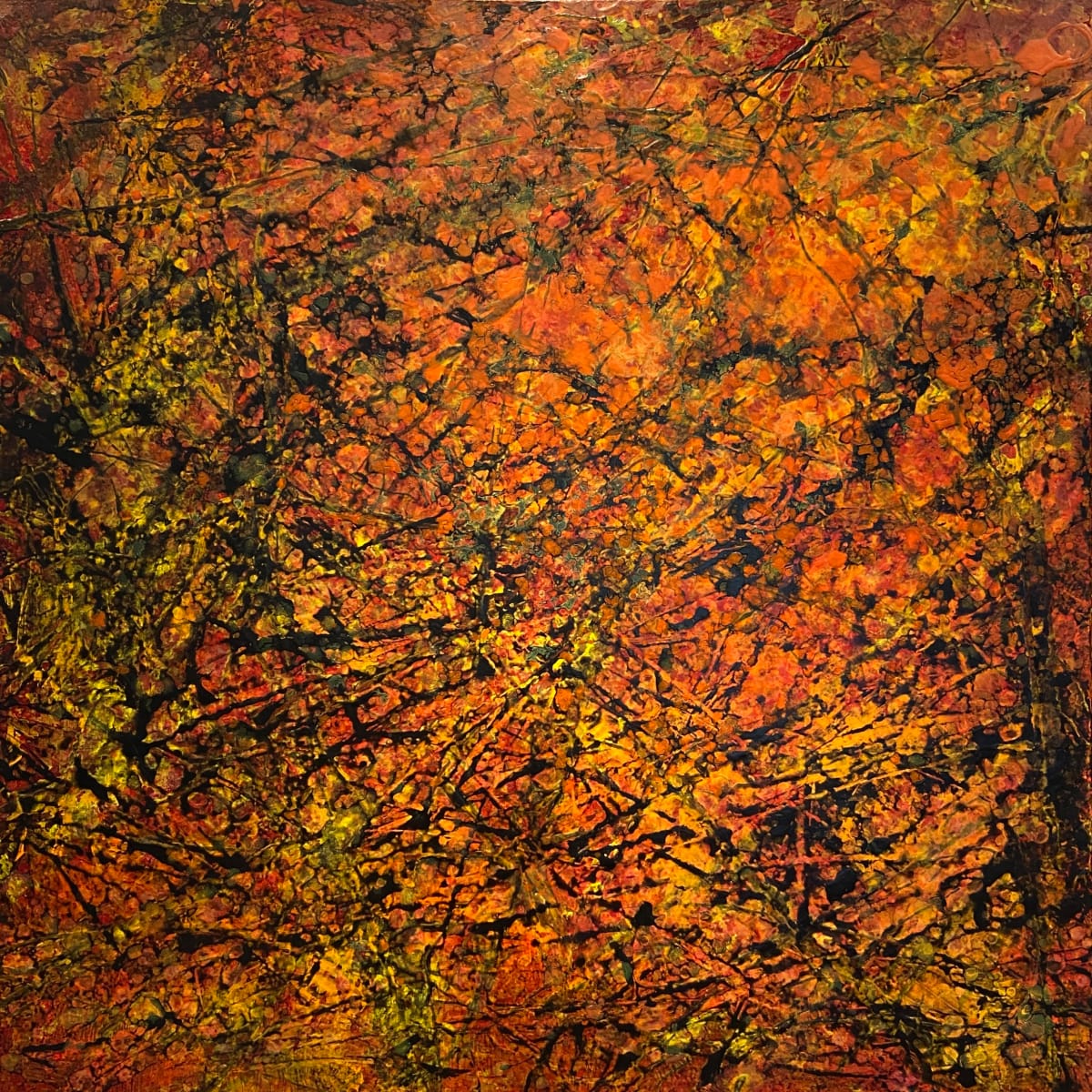 Tempest by Lori Latham, Image 1.