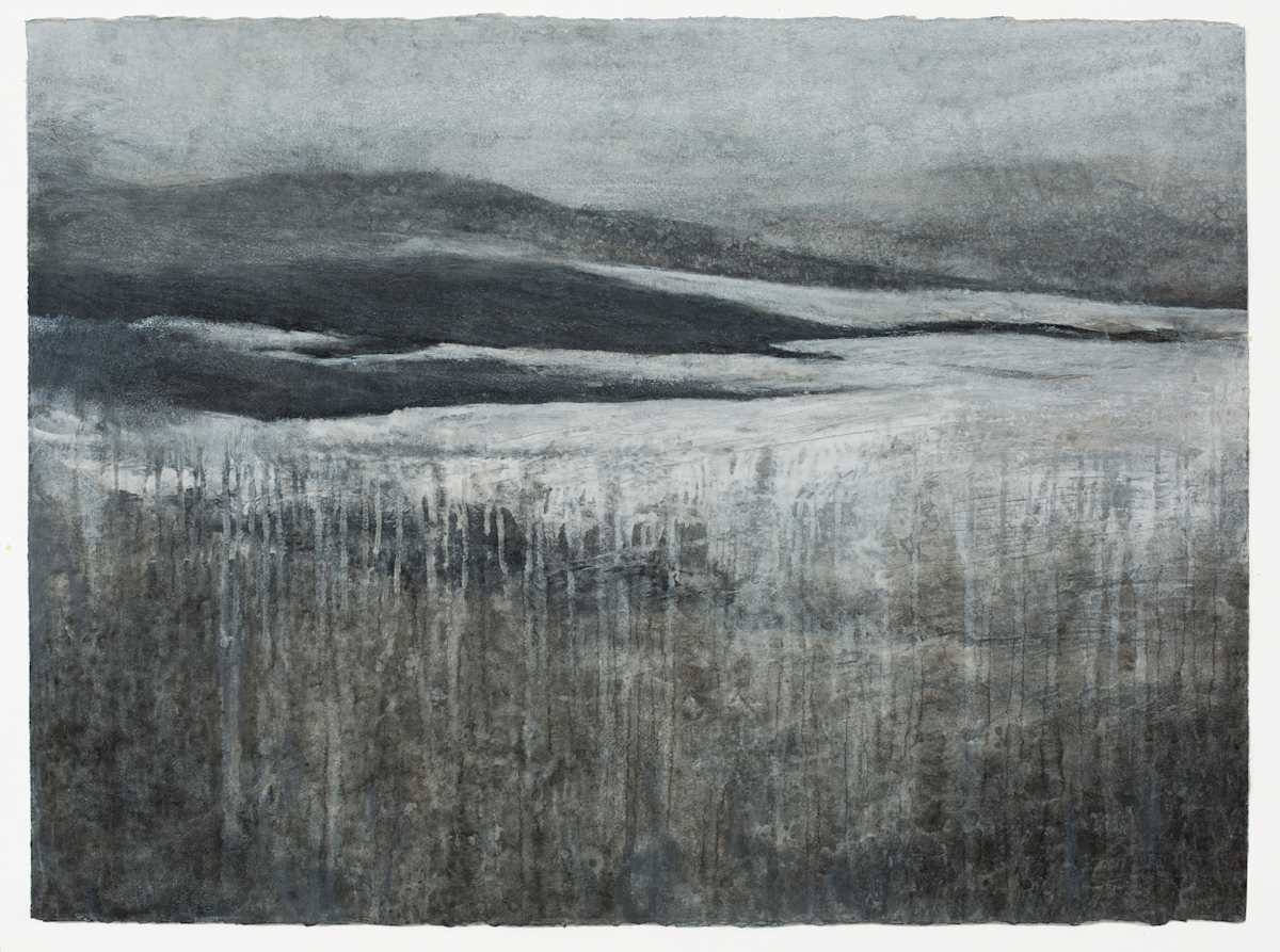 Summer Rising by Lori Latham, Image 1.