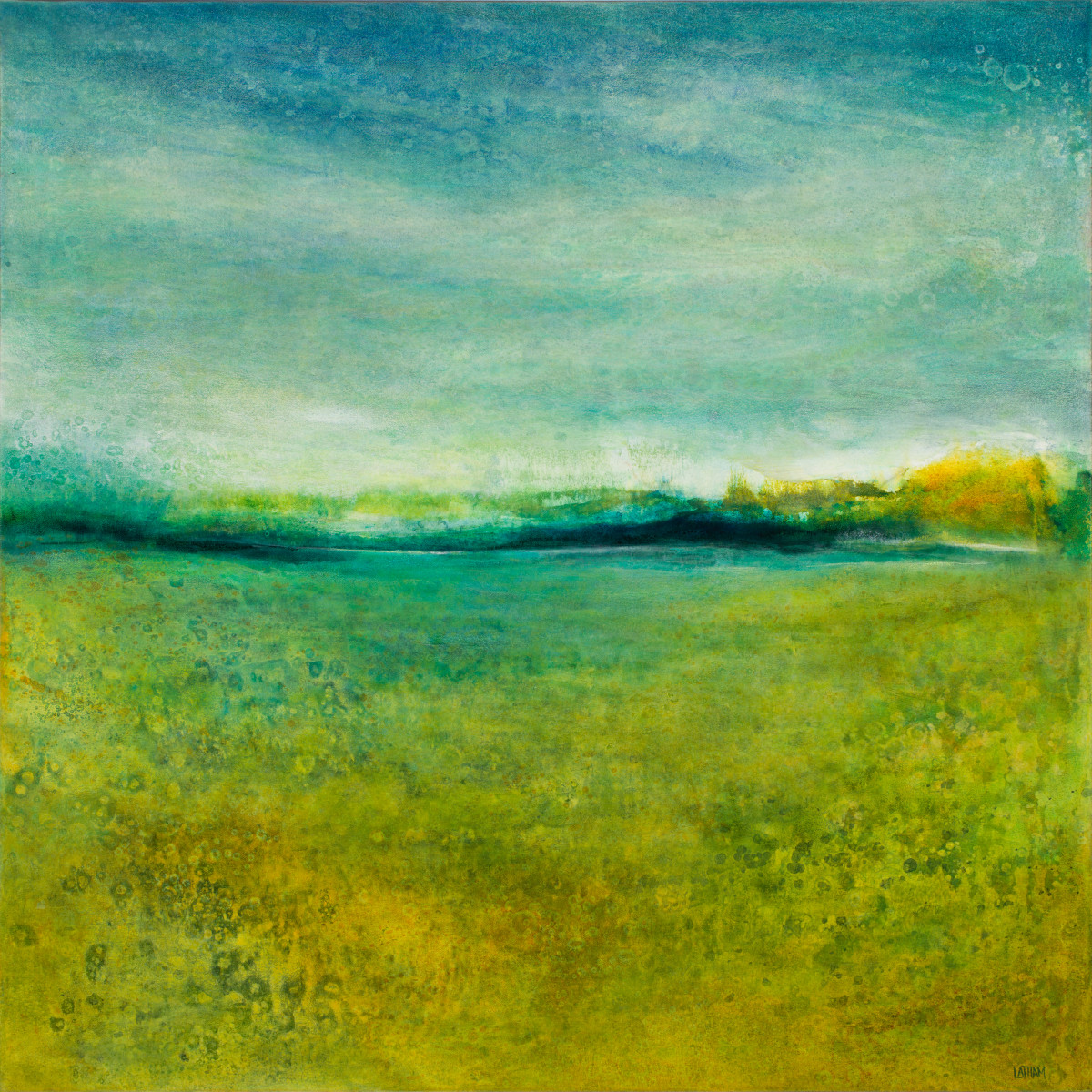 Dreamland by Lori Latham 