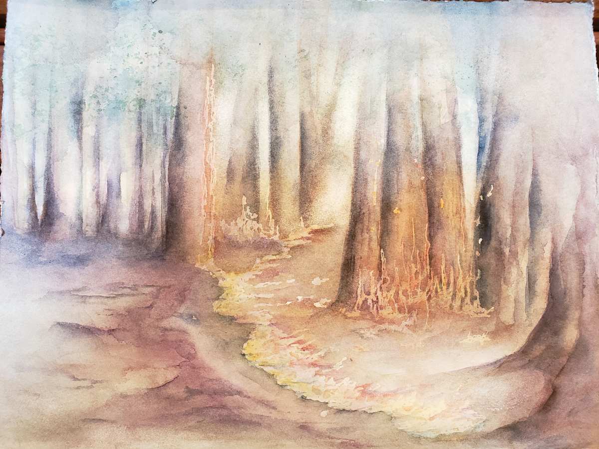 Fireline, Image 1.
