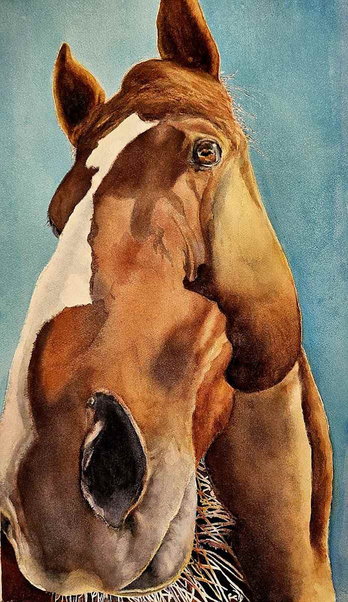High Watch by Merri Chester, Image 1.