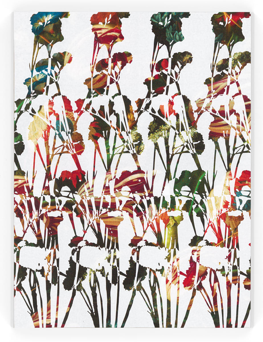 Botanical Screen 9 by J Myszka Lewis, Image 2.