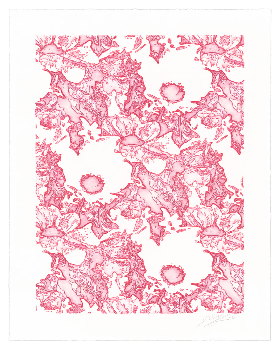 Contour Pattern Study 2 (anemone) by J Myszka Lewis, Image 2.