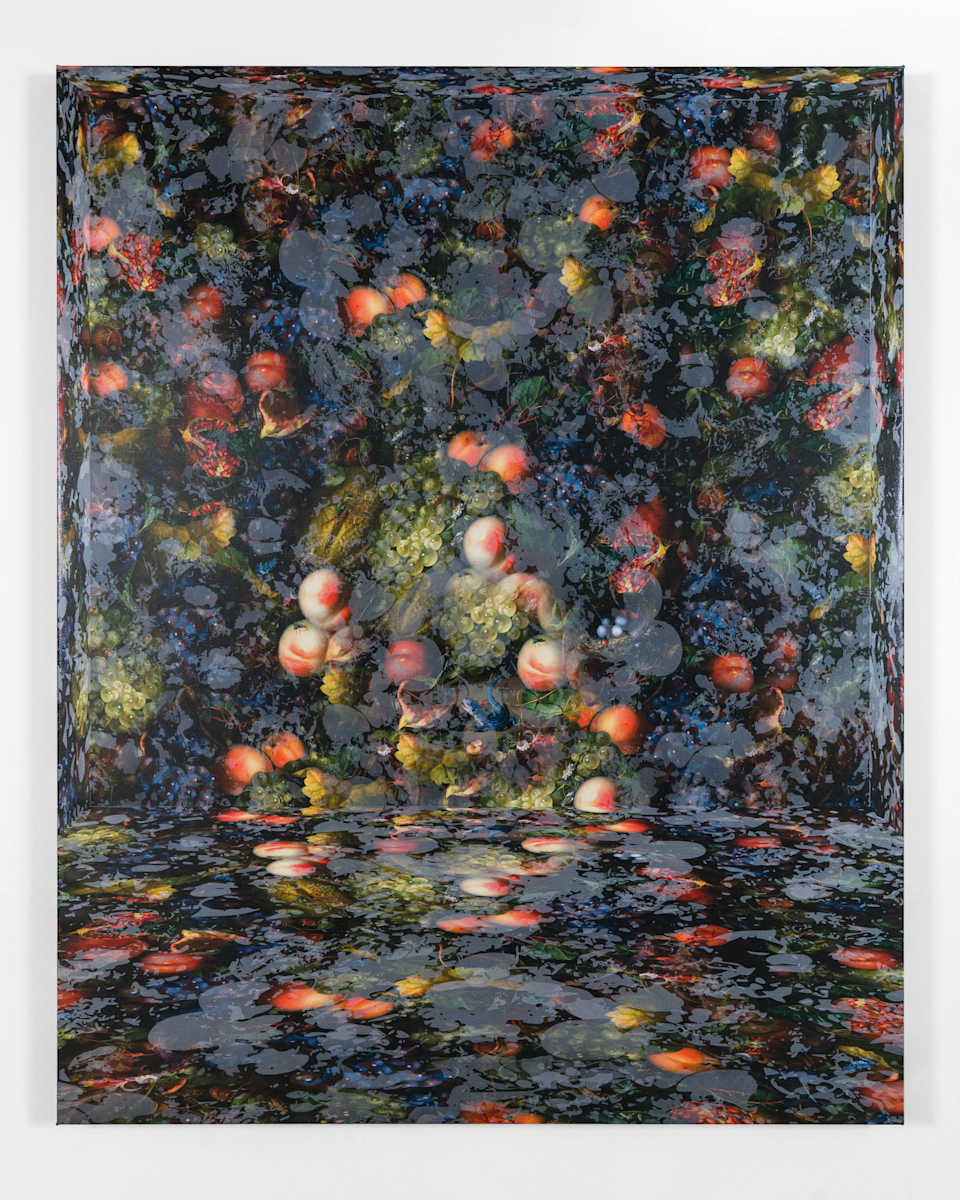 Cultivating Wildness (Fruit Piece after Rachel Ruysch) 1 by J Myszka Lewis, Image 1.