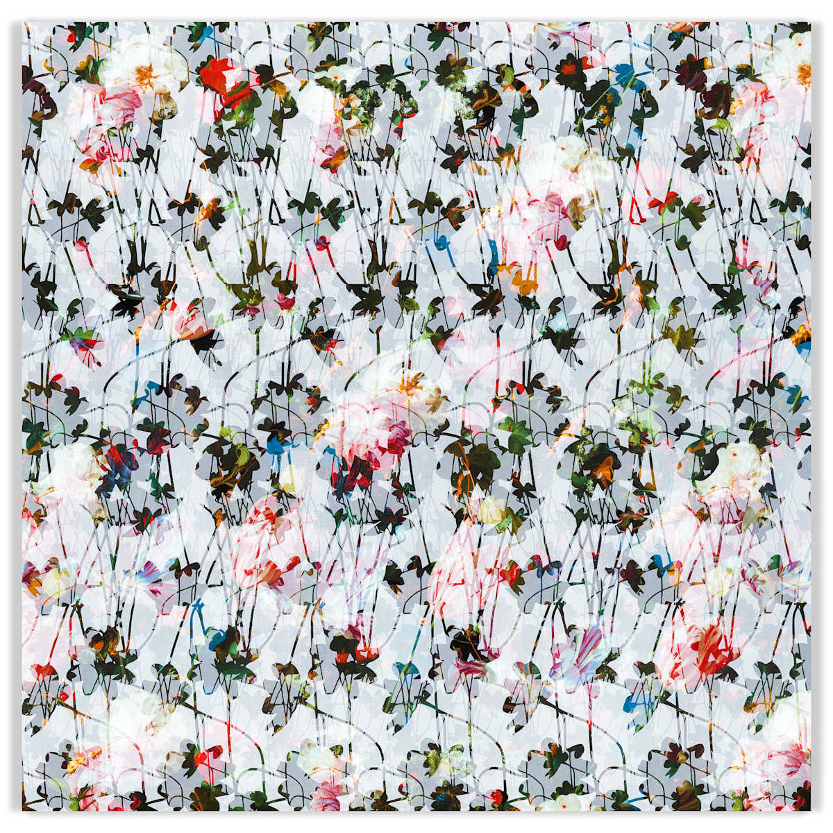 Flowers from Ghosts (cosmos) by J Myszka Lewis, Image 1.
