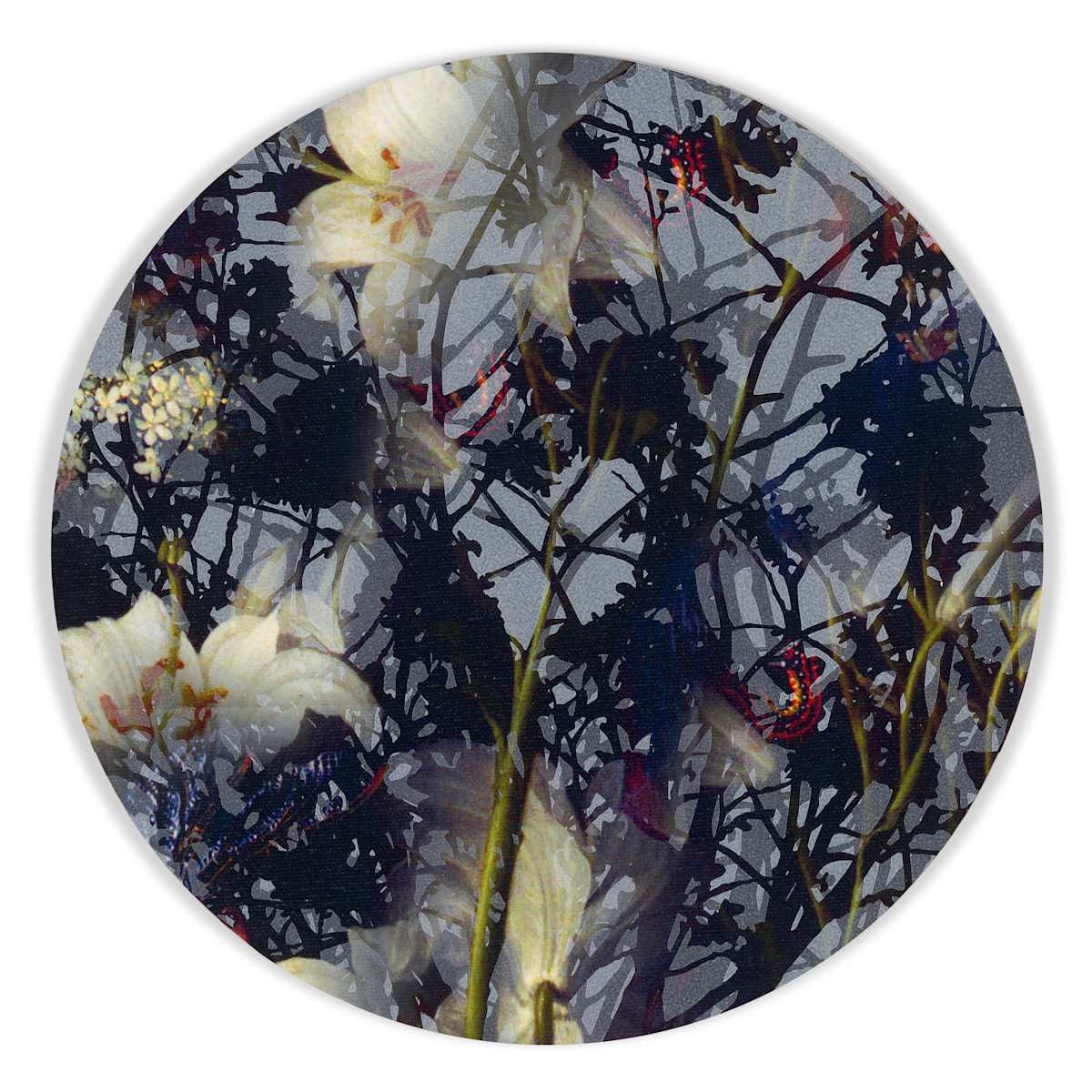 Kaleidoscopic Floral Study 12 by J Myszka Lewis, Image 2.