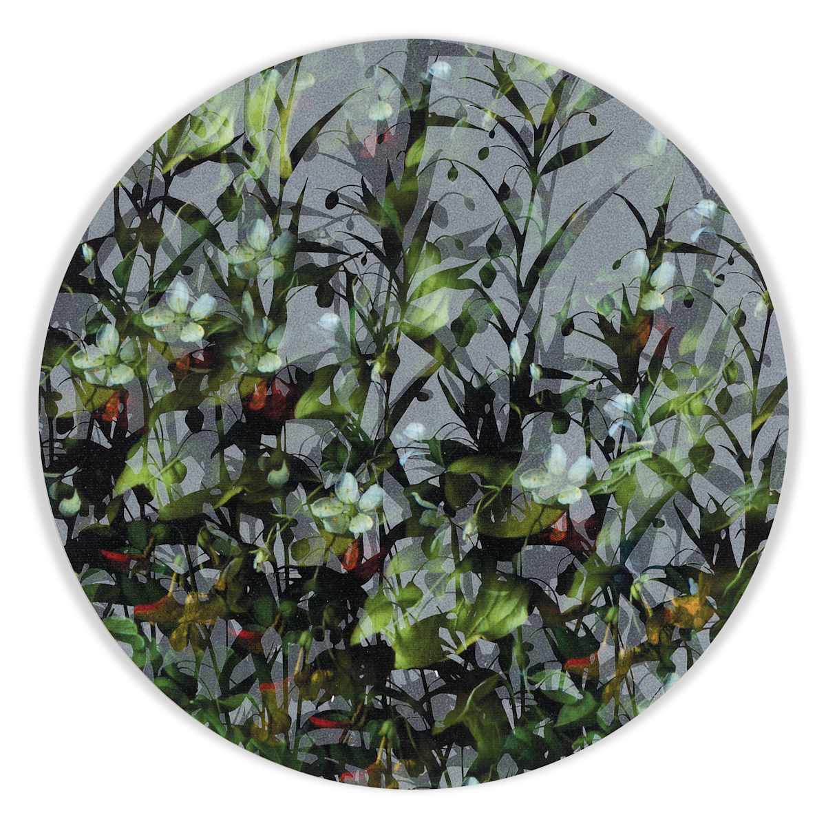 Kaleidoscopic Floral Study 13 by J Myszka Lewis 