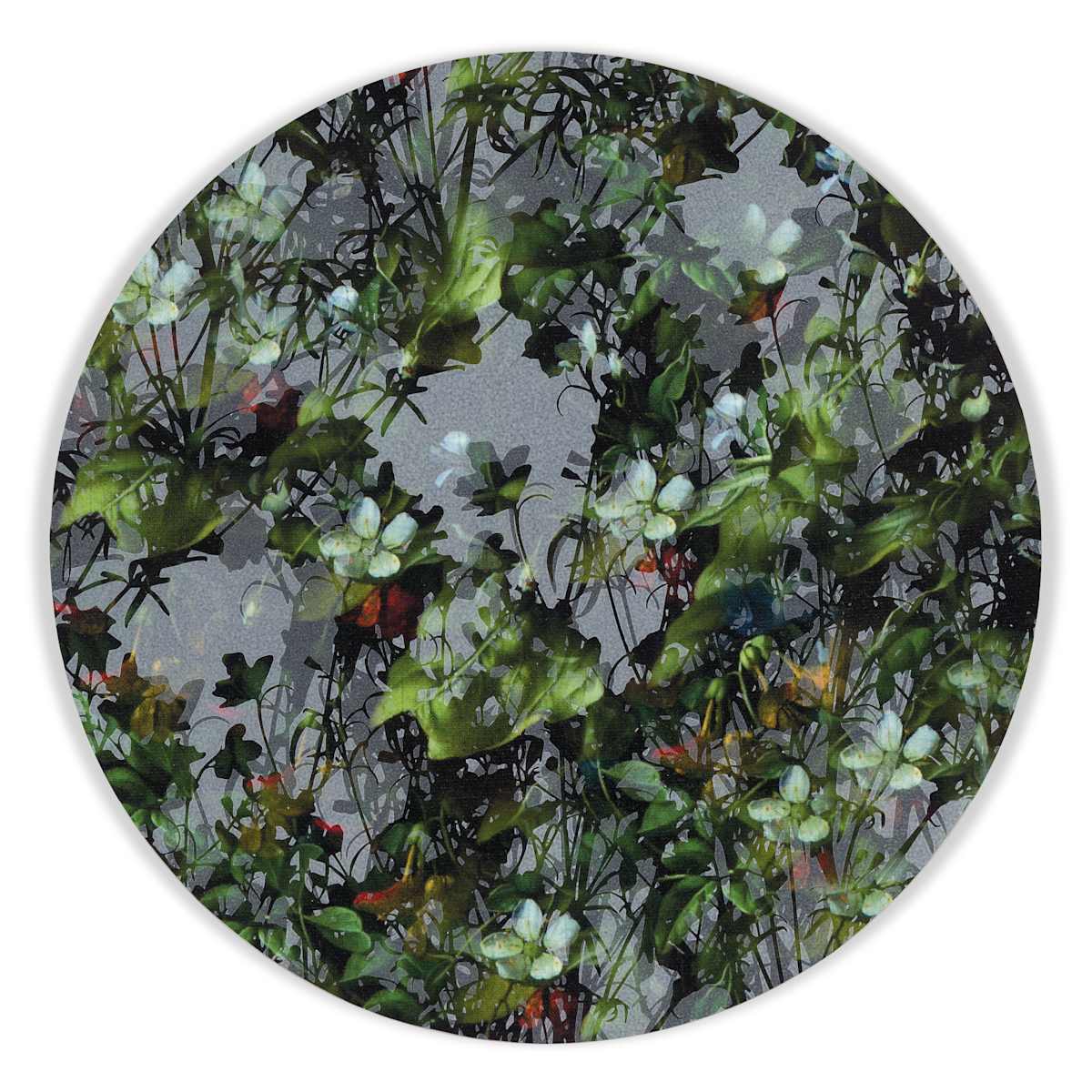 Kaleidoscopic Floral Study 14 by J Myszka Lewis 