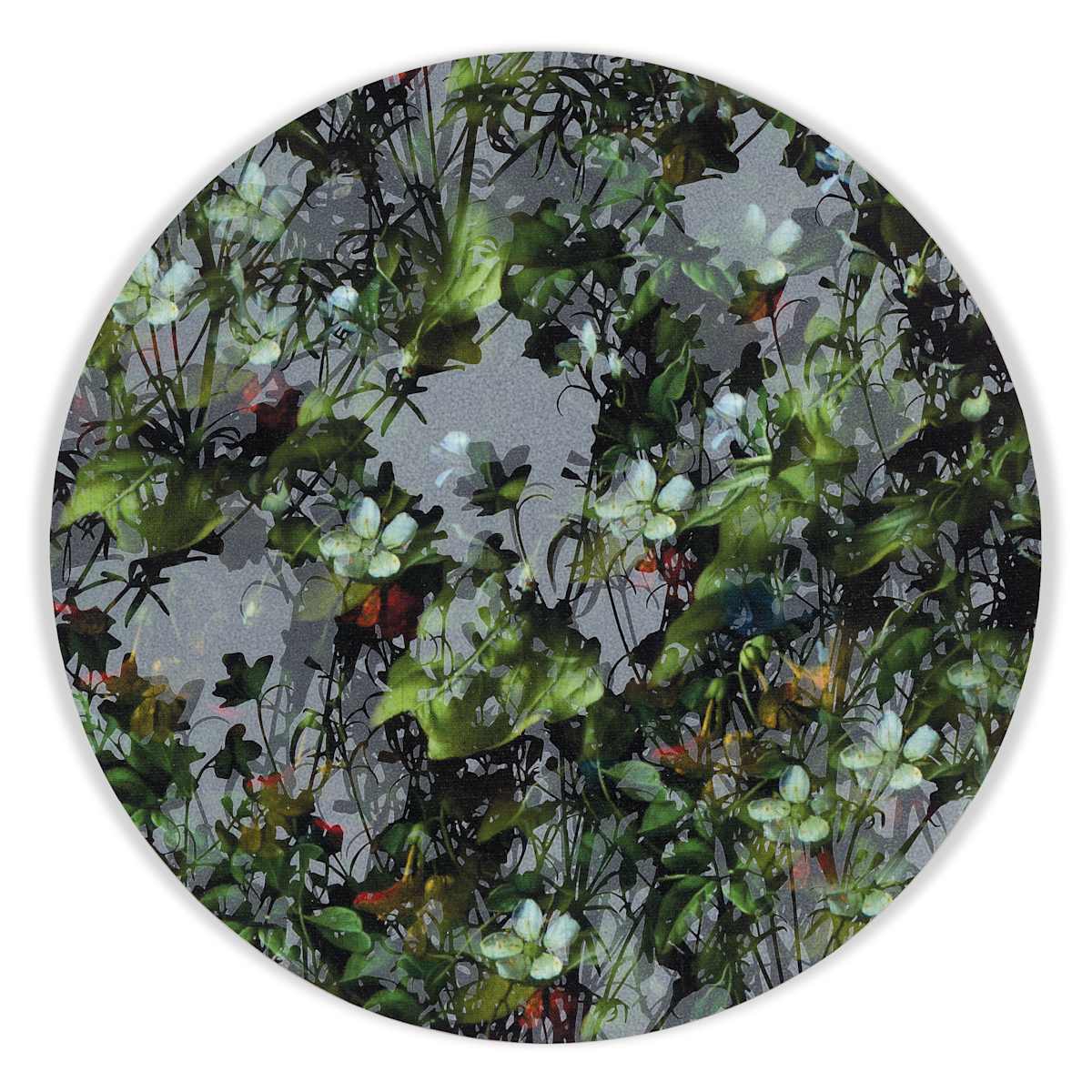 Kaleidoscopic Floral Study 14 by J Myszka Lewis, Image 2.