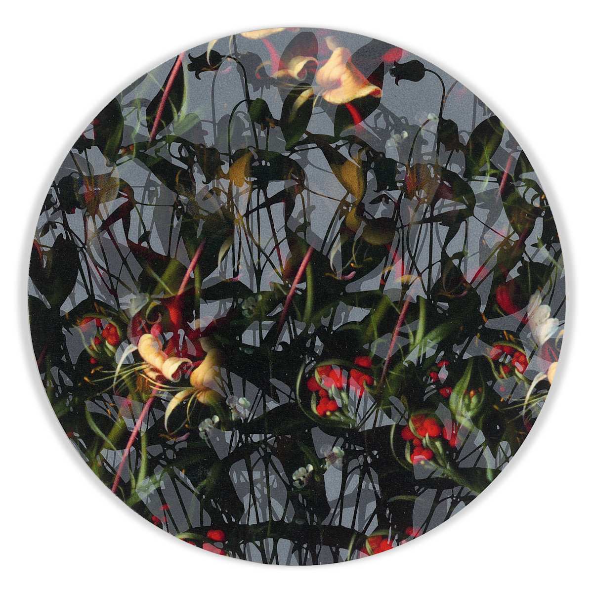 Kaleidoscopic Floral Study 18 by J Myszka Lewis 