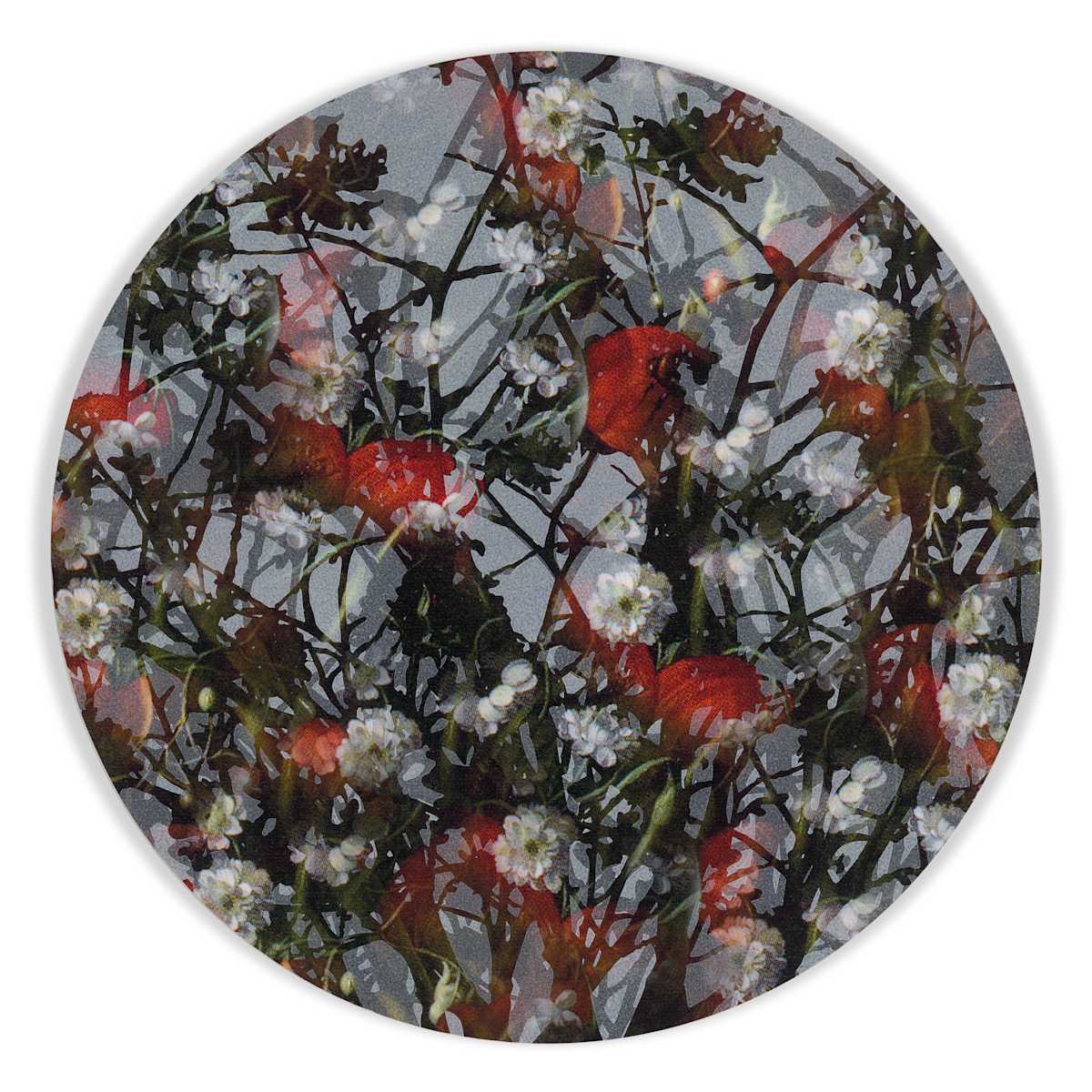 Kaleidoscopic Floral Study 19 by J Myszka Lewis 